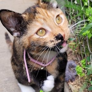 Meet your Posher, Leticia